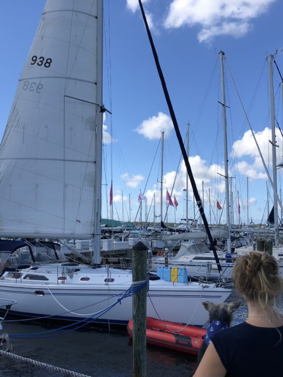 Photo of Jordan and Monster looking off at sailboats in the background